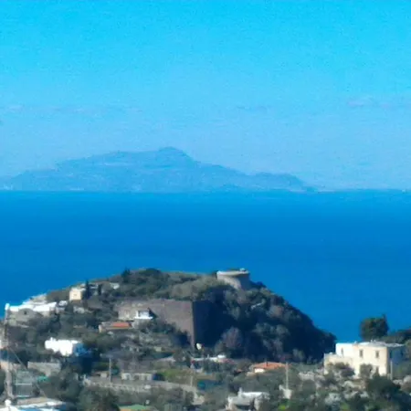 Marfio Sorrento *